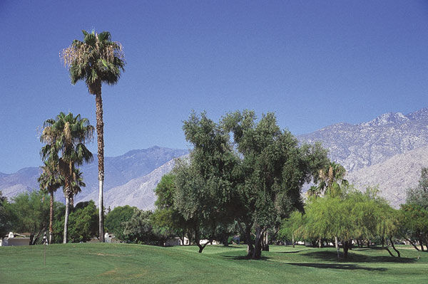 Area Golf