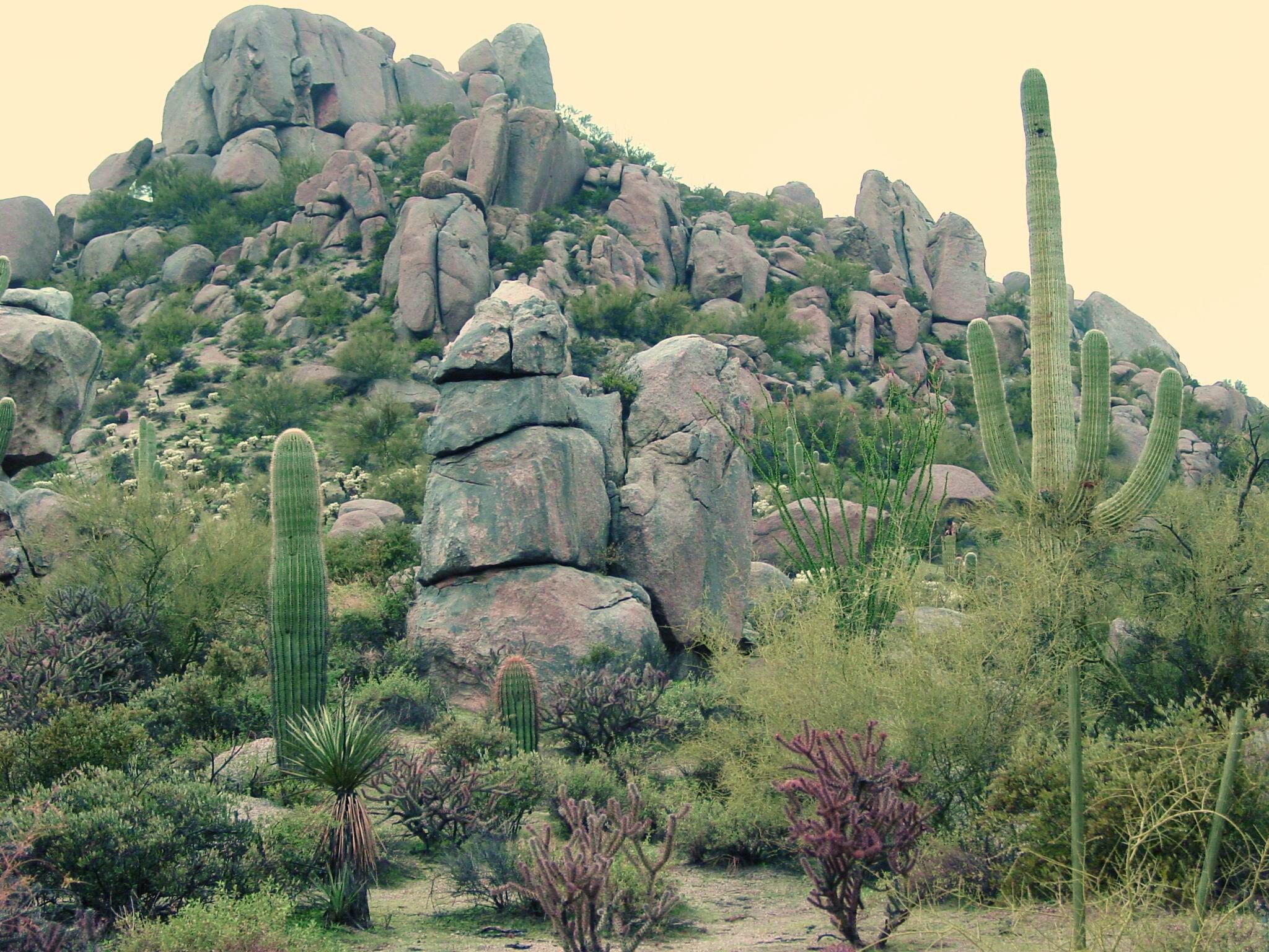 Four Seasons Residence Club Scottsdale at Troon North - View From Patio