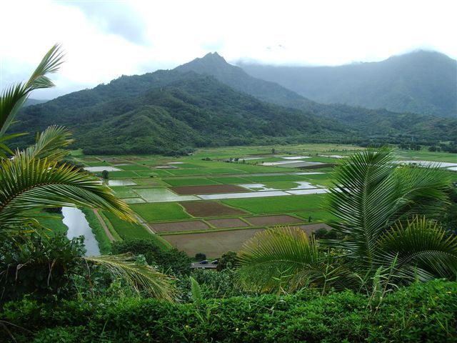 Hanalei Overlook