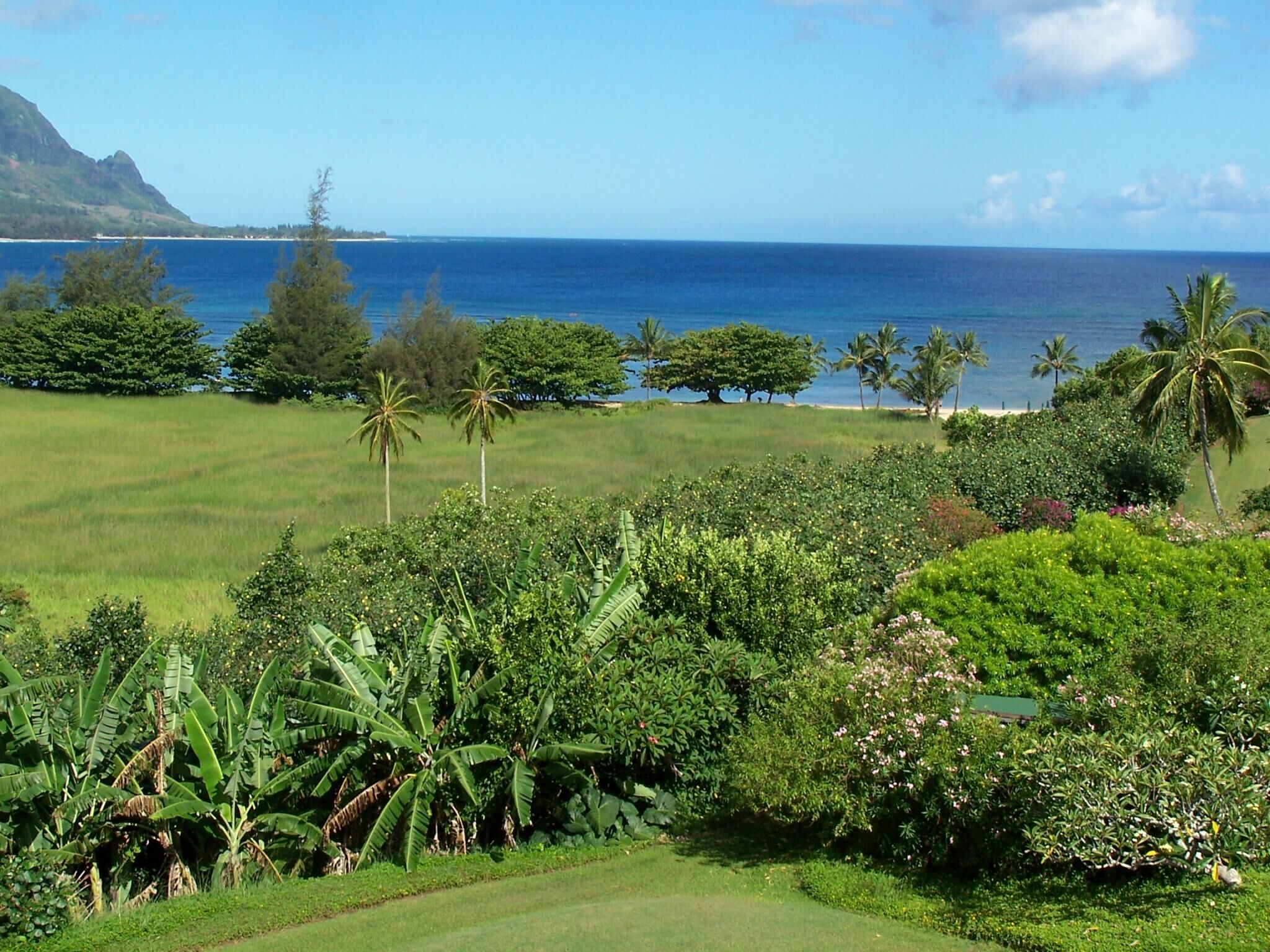 Hanalei Bay Resort - View From Unit