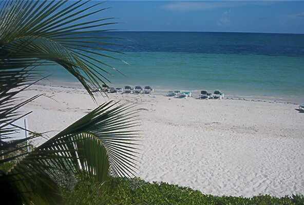Island Seas Resort - Beach