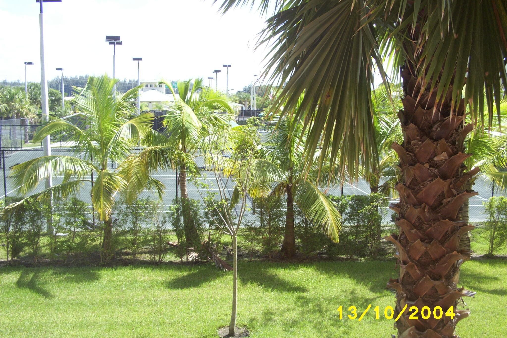 Vacation Village at Weston - Tennis Courts 