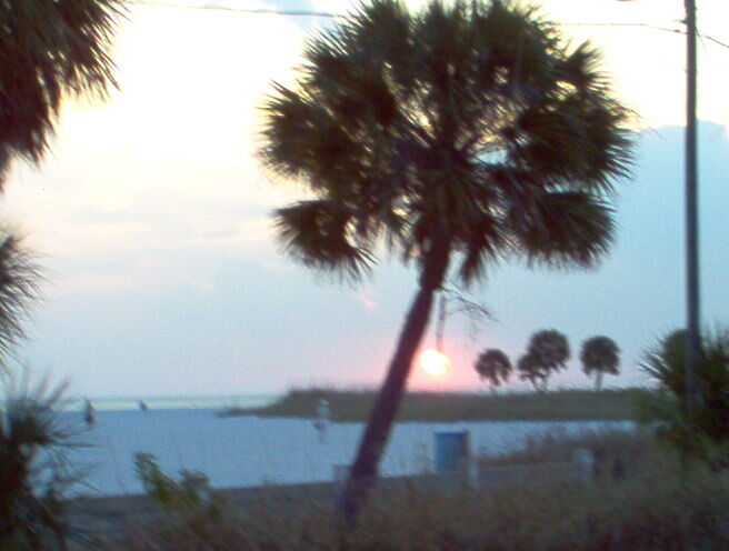 Treasure Island Beach Club - Sunset