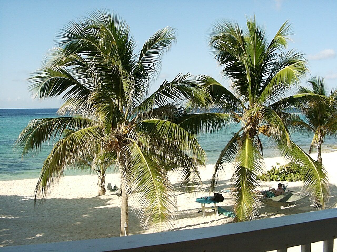 Morritt's Tortuga Club - Beach
