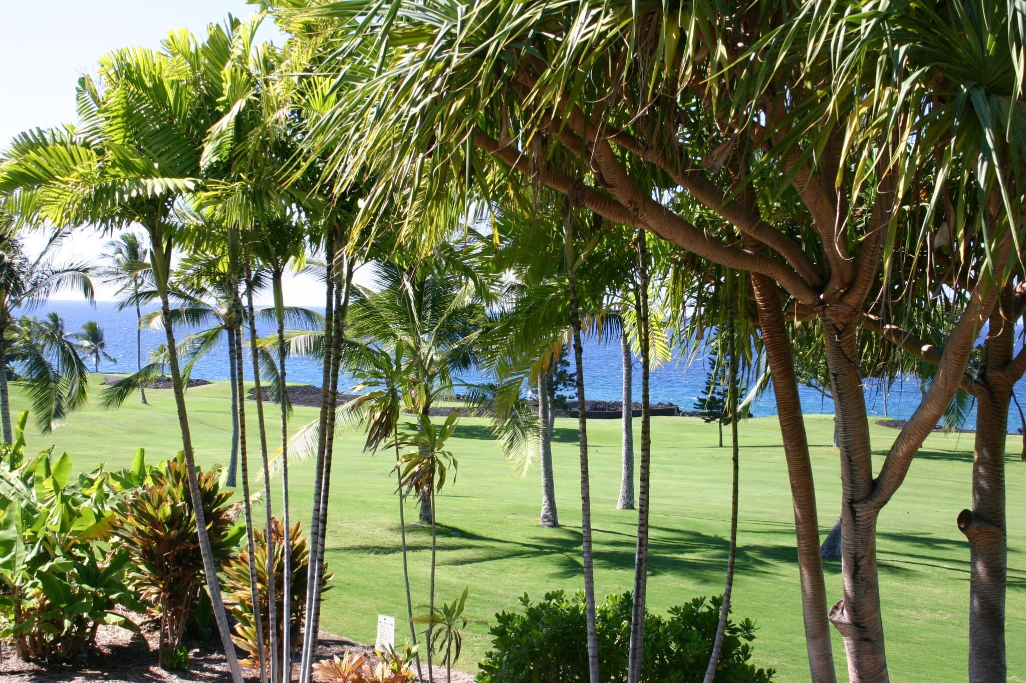Kona Coast Resort - Golf Course