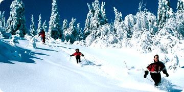Club Intrawest - Sandestin - Winter sports