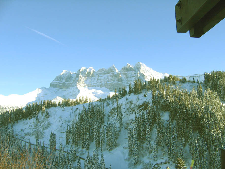 Royal Alpage Club - TheView