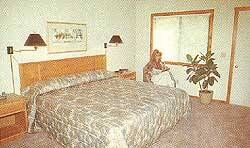 Creekside Village - Unit Bedroom