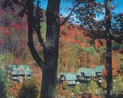 La Voliere du Mont-Tremblant