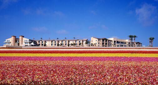 Grand Pacific Palisades Resort