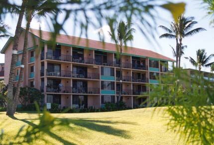 Maui Schooner