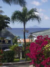 The Gardens at West Maui