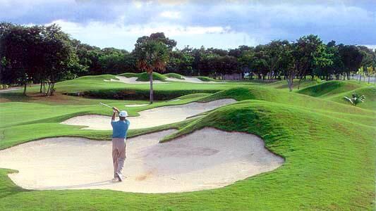 Area Golf Course
