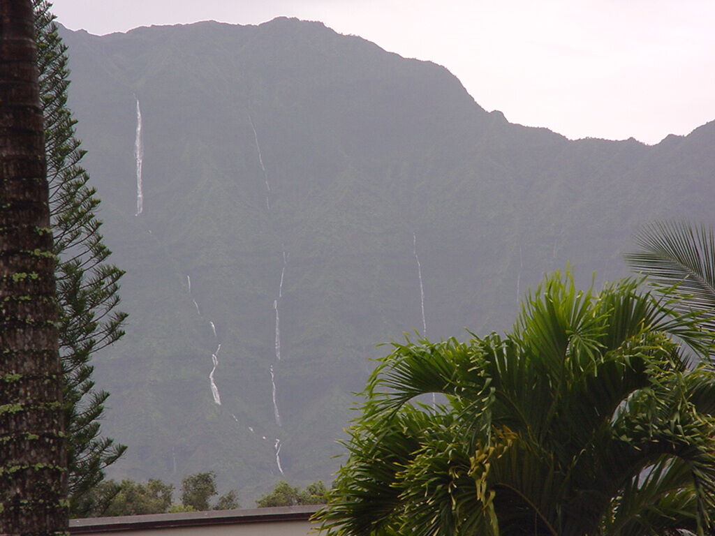 The Makai Club Cottages - View From Cottages