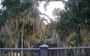 Brigantine Quarters - View From Deck