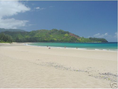 Area Beach