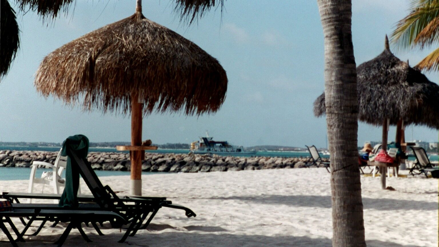 Divi Aruba Phoenix Beach Resort - Beach
