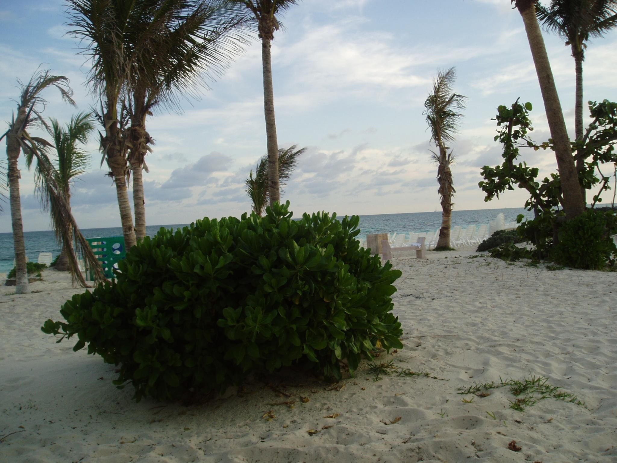 The Ritz Beach Resort - Beach