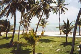 Florida Keys Beach