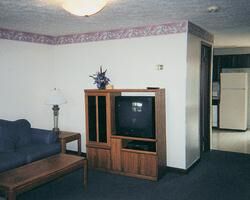 Mountain Meadows Resort - Unit Living Area