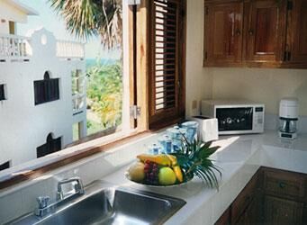 Kitchen of the 1 Bedroom Unit