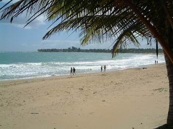 Beach at the Surf Mar Beach Resort