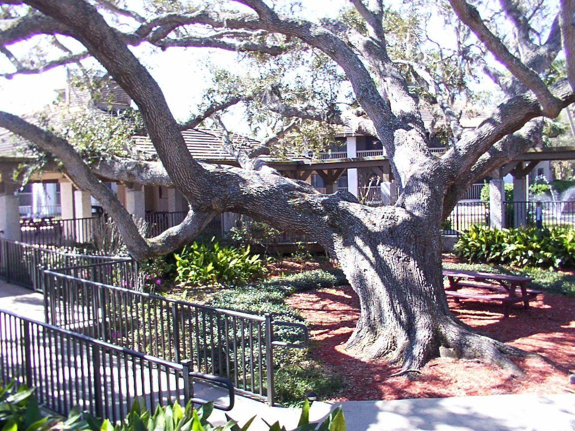 The Harbor Club at Palm Coast - Grounds
