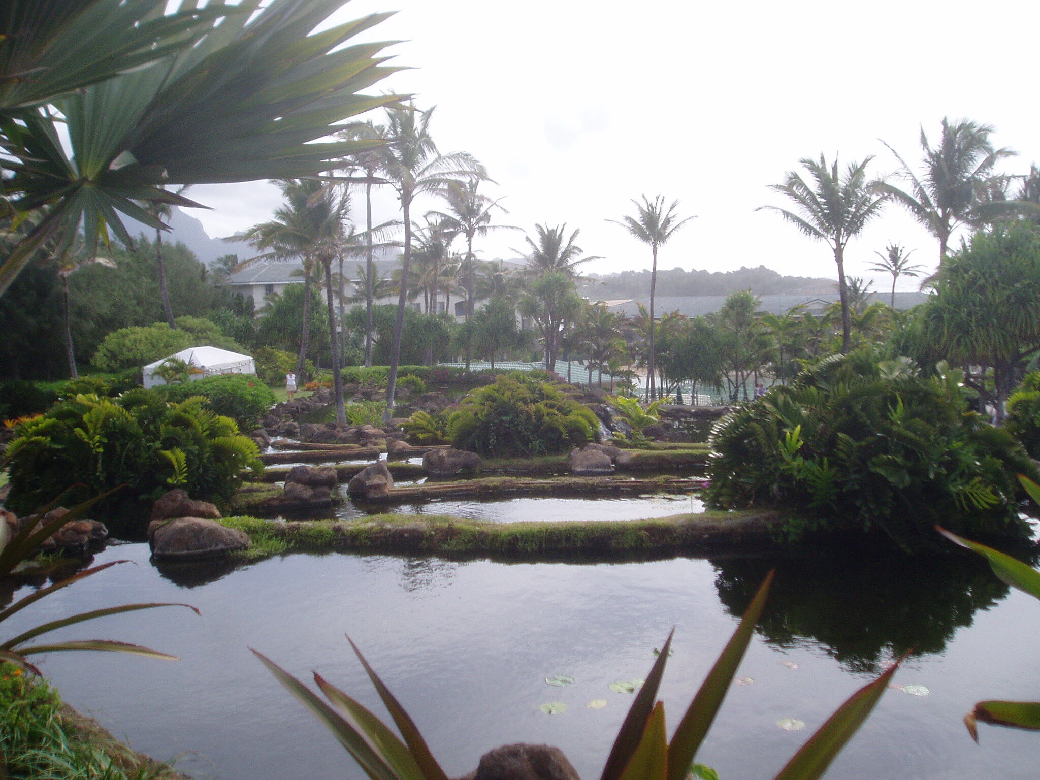 The Point at Poipu - Landscaping