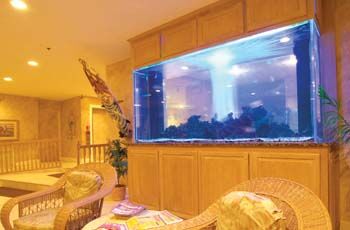 The Cove on Ormond Beach - 1,500 Gallon Aquarium