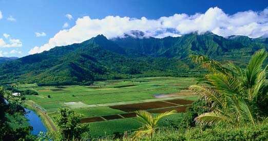 Kauai Scenery