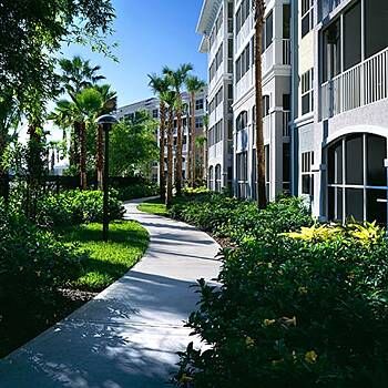 Sheraton Vistana Villages