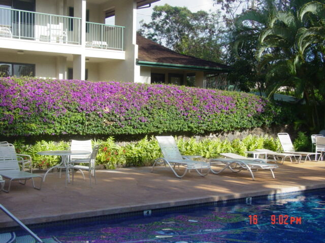 The Gardens at West Maui