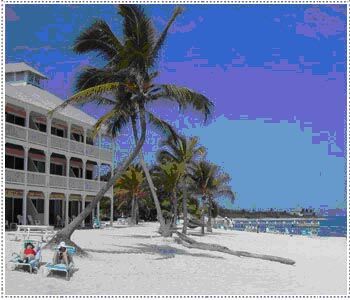 Morritt's Tortuga Club