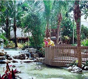 Fairfield Ocean Palms - Garden