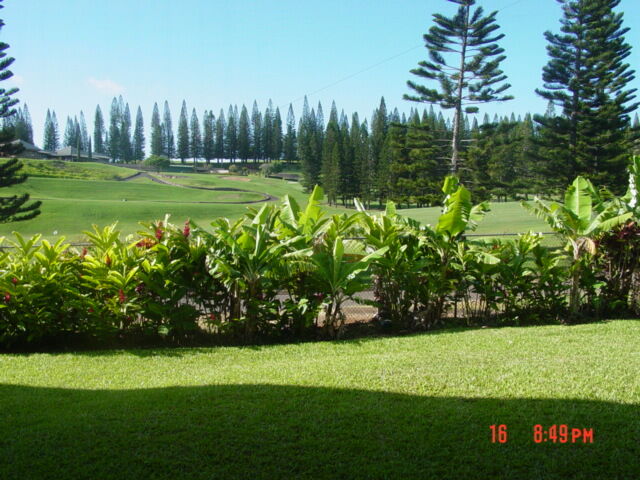 View from Lanai