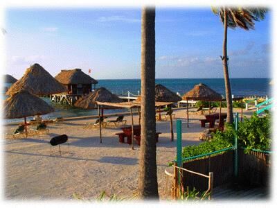 Costa Maya Reef Resort - Grounds