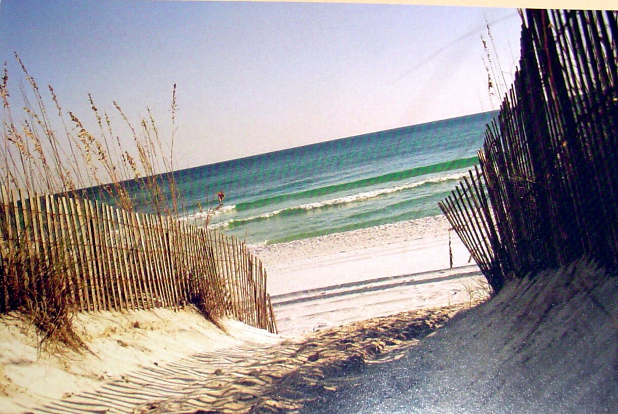 Wyndham Majestic Sun - Ocean View