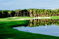 Area Golf Course
