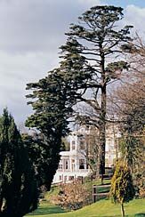 Infiniti at Trenython Manor