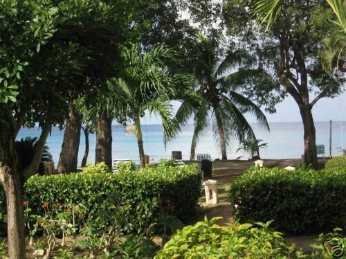 The Divi Heritage Resort - Grounds