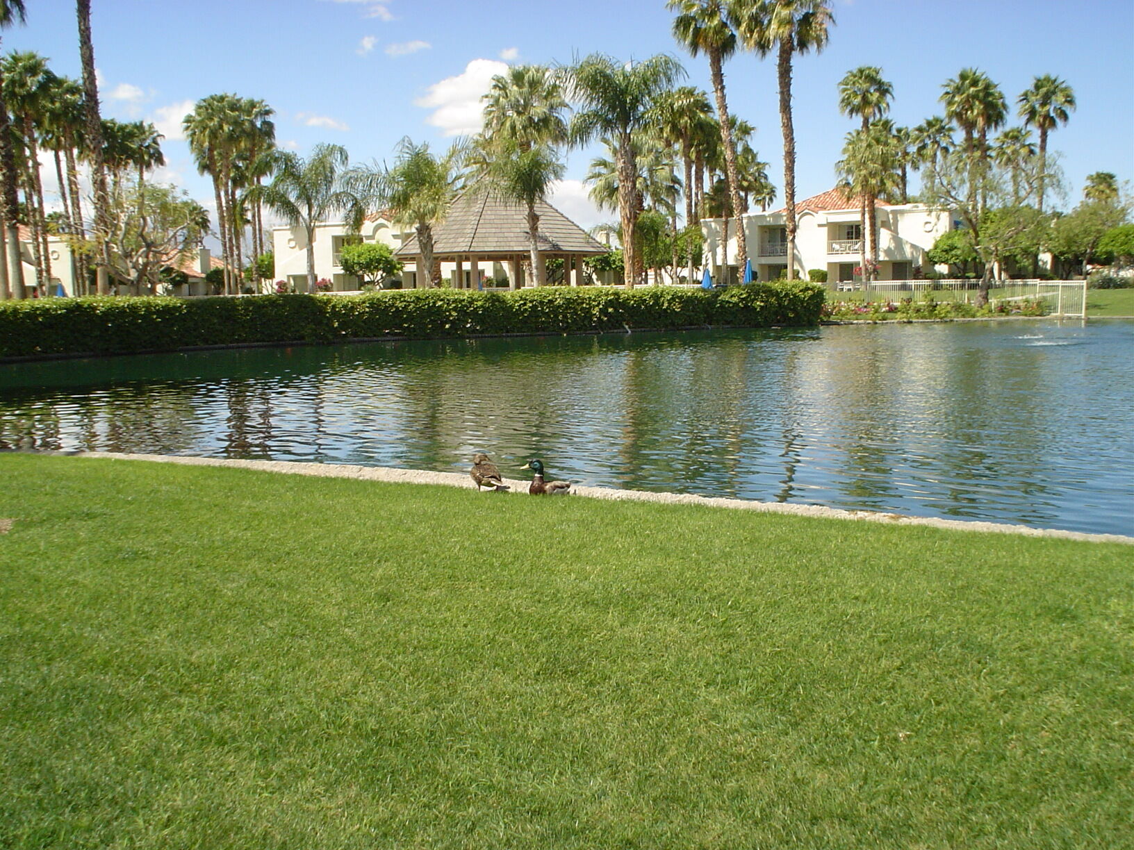 Desert Breezes Resort - Lake
