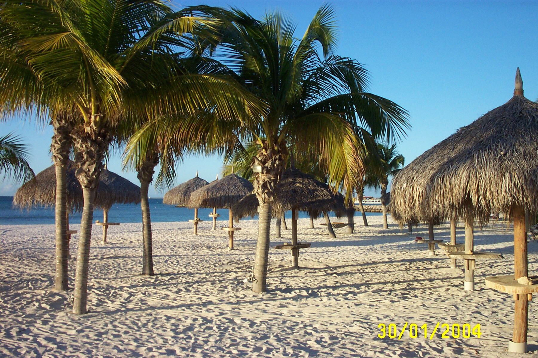 Divi Aruba Phoenix Beach Resort - Beach