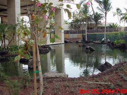 Marriott's Ko Olina Beach Club