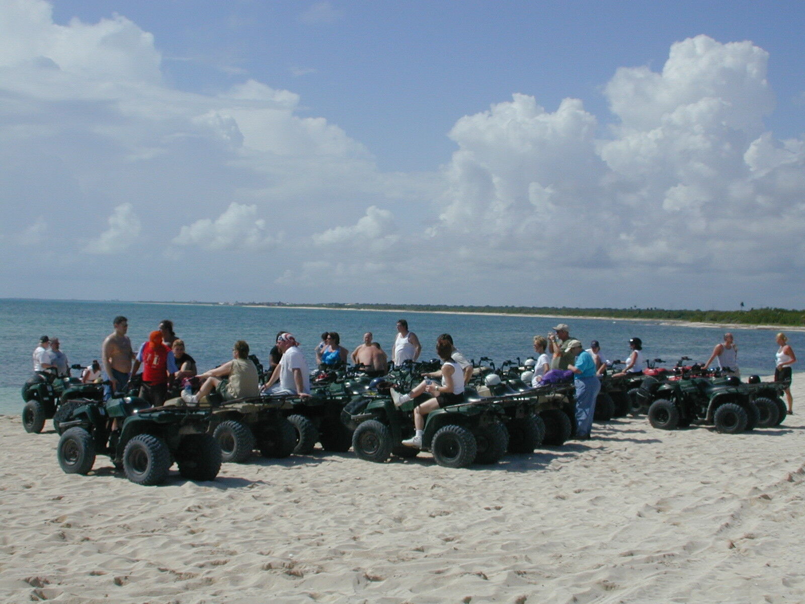 Area Beach Activities
