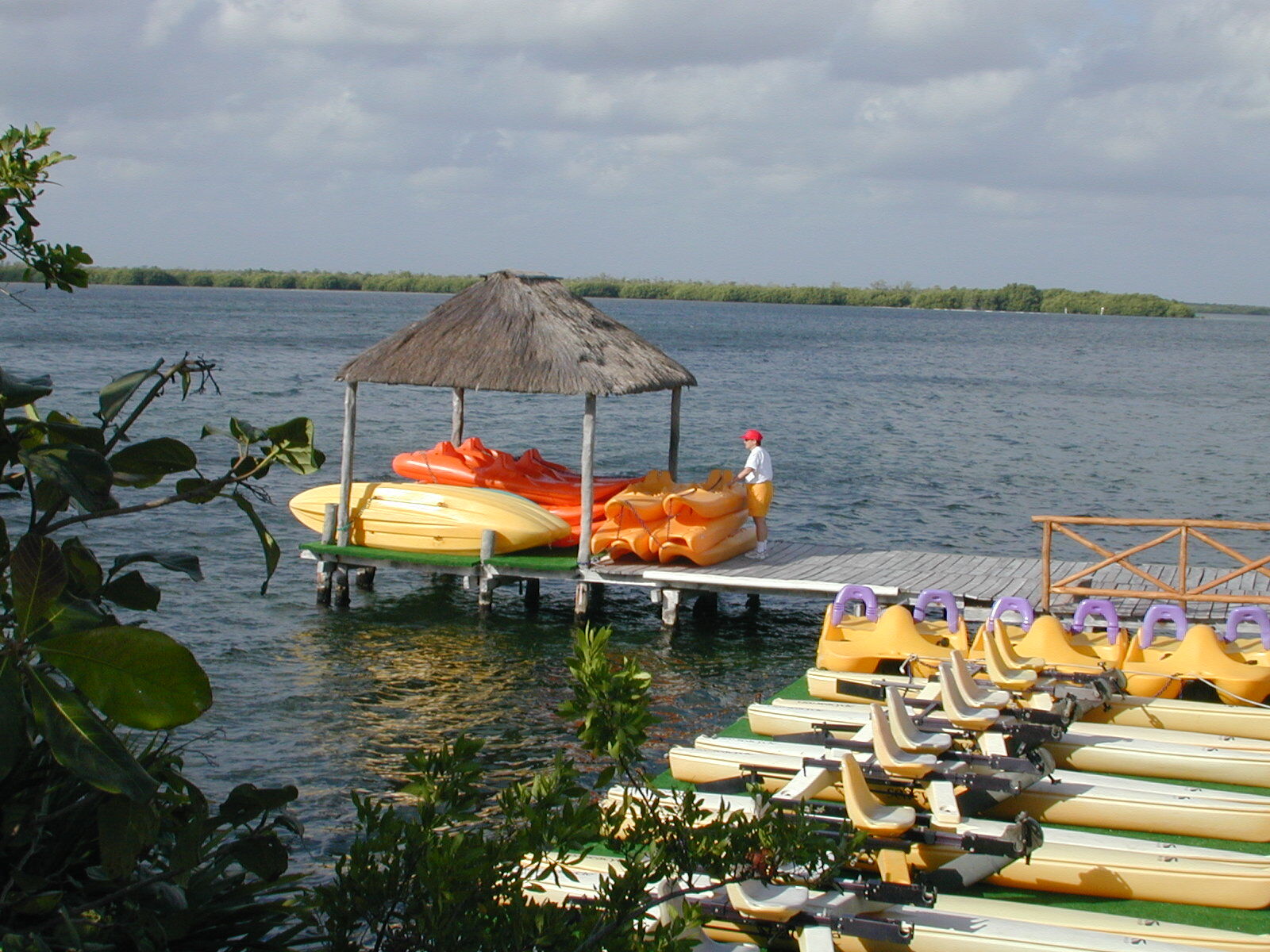 Area Water Sports