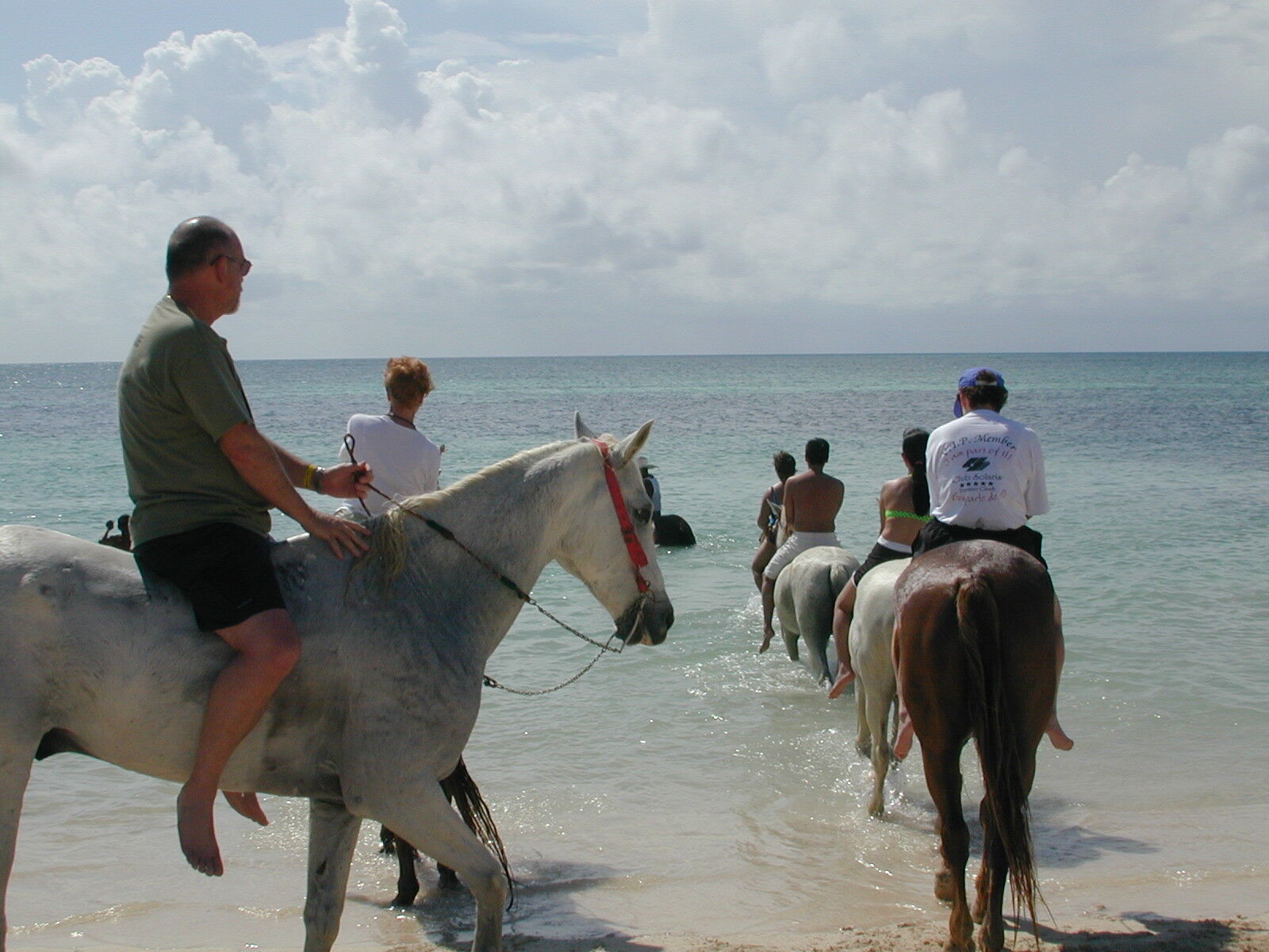 Area Horseback Riding