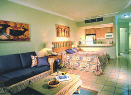 Villa del Palmar Vallarta - Unit Interior