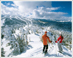 Area Skiing