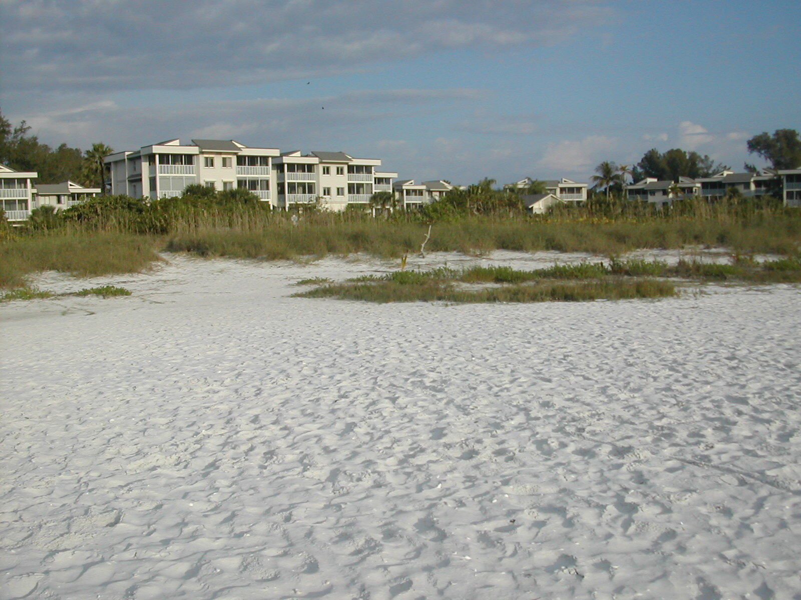 Shell Island Beach Club - Beach
