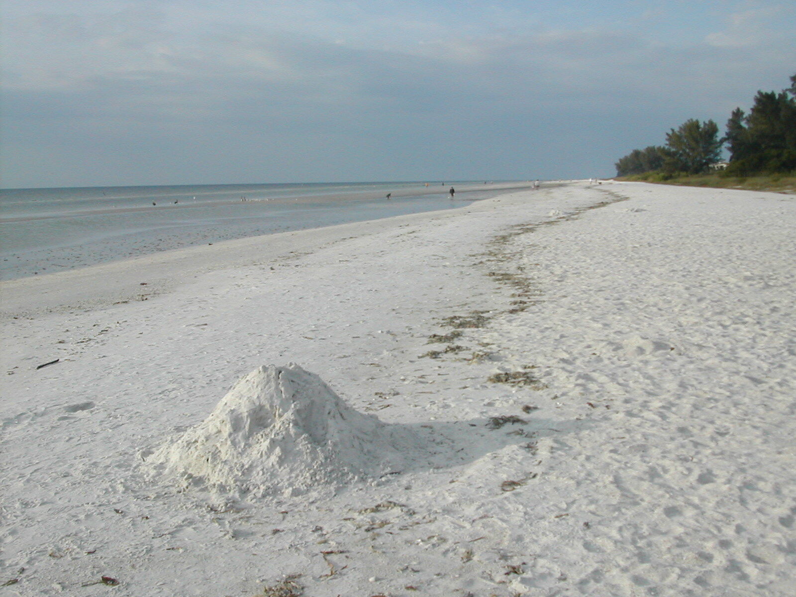 Shell Island Beach Club - Beach